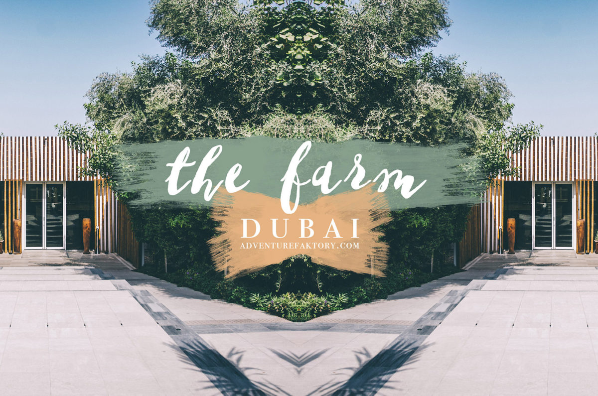 Eat in Dubai The Farm at Al Barari AdventureFaktory Travel Magazine