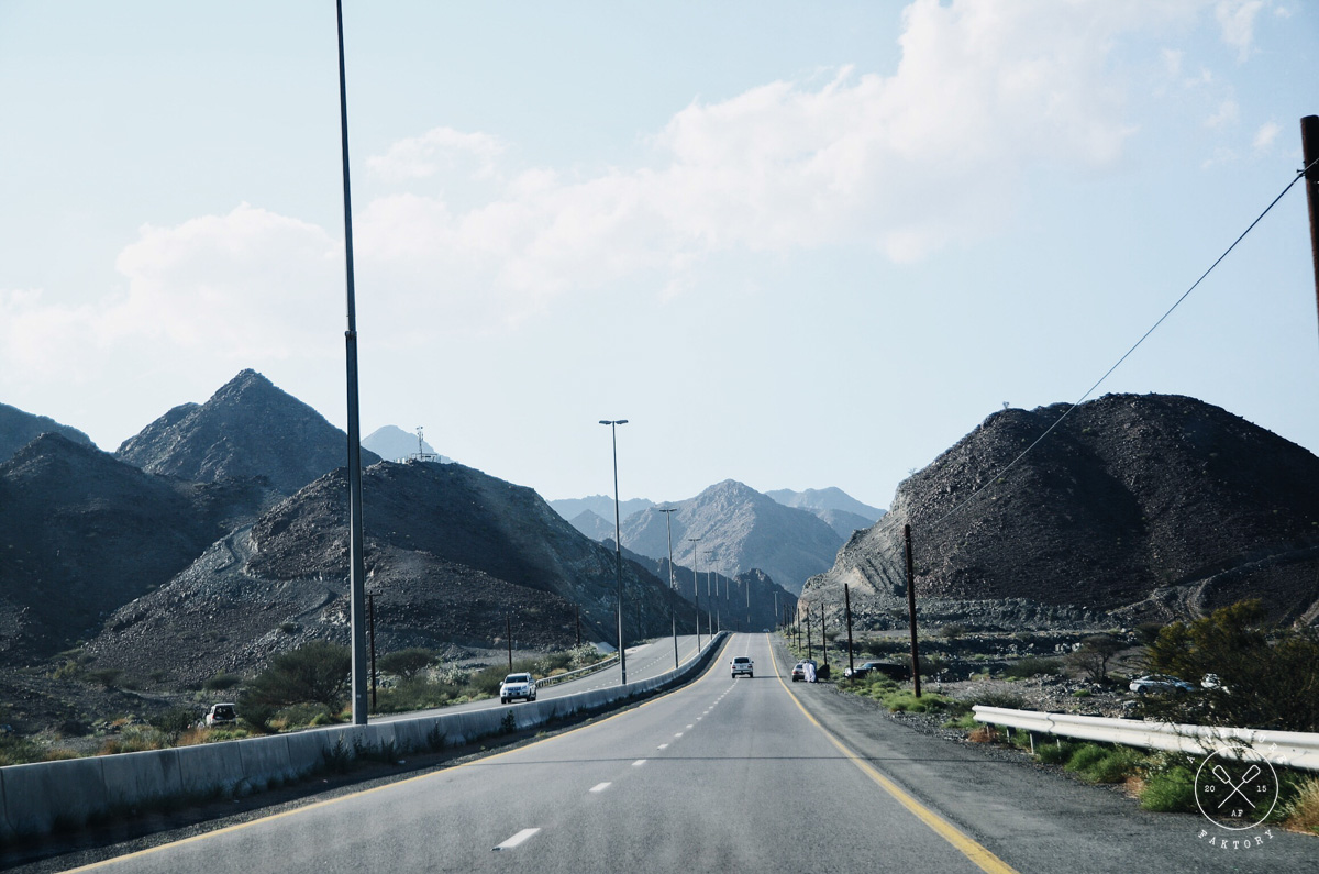 UAE Road Trip