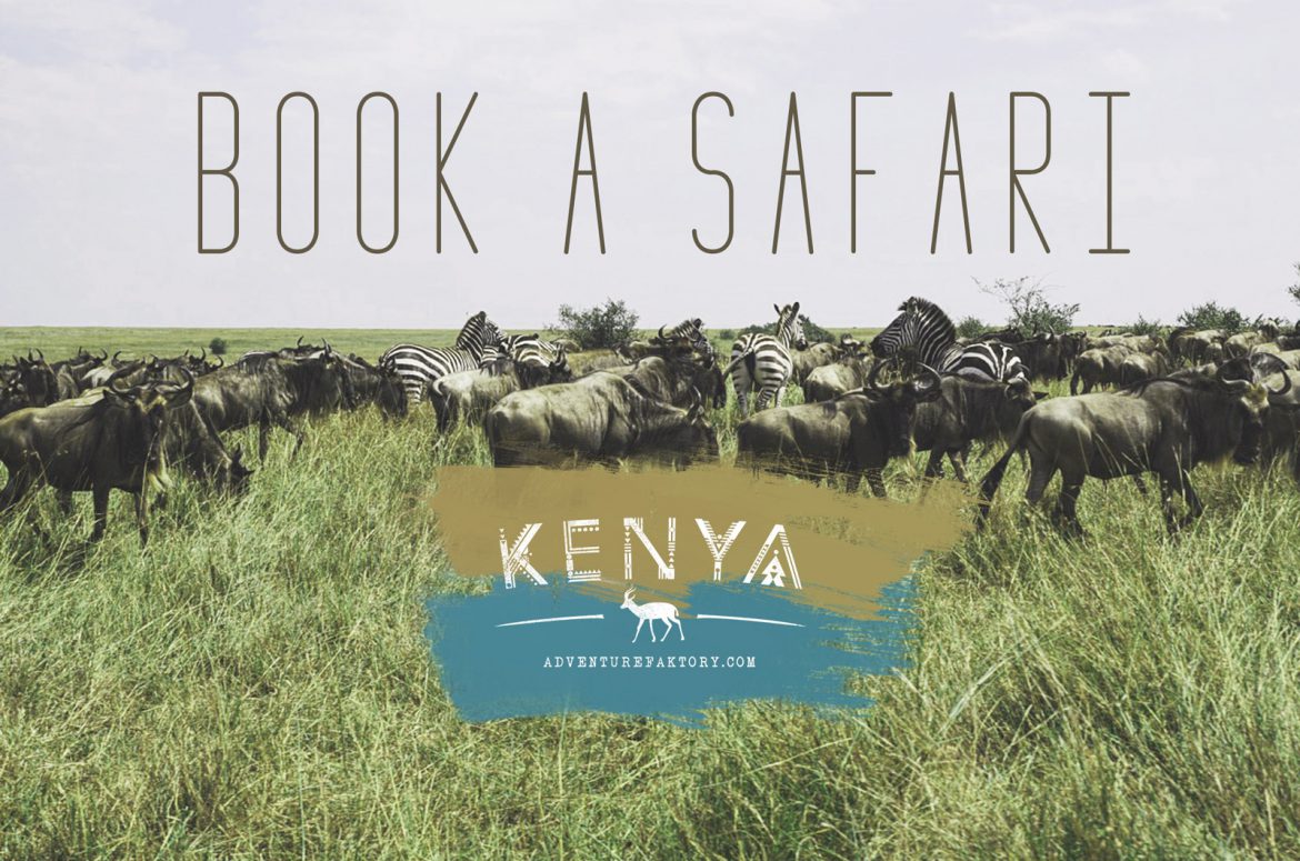 how to book safari in kenya