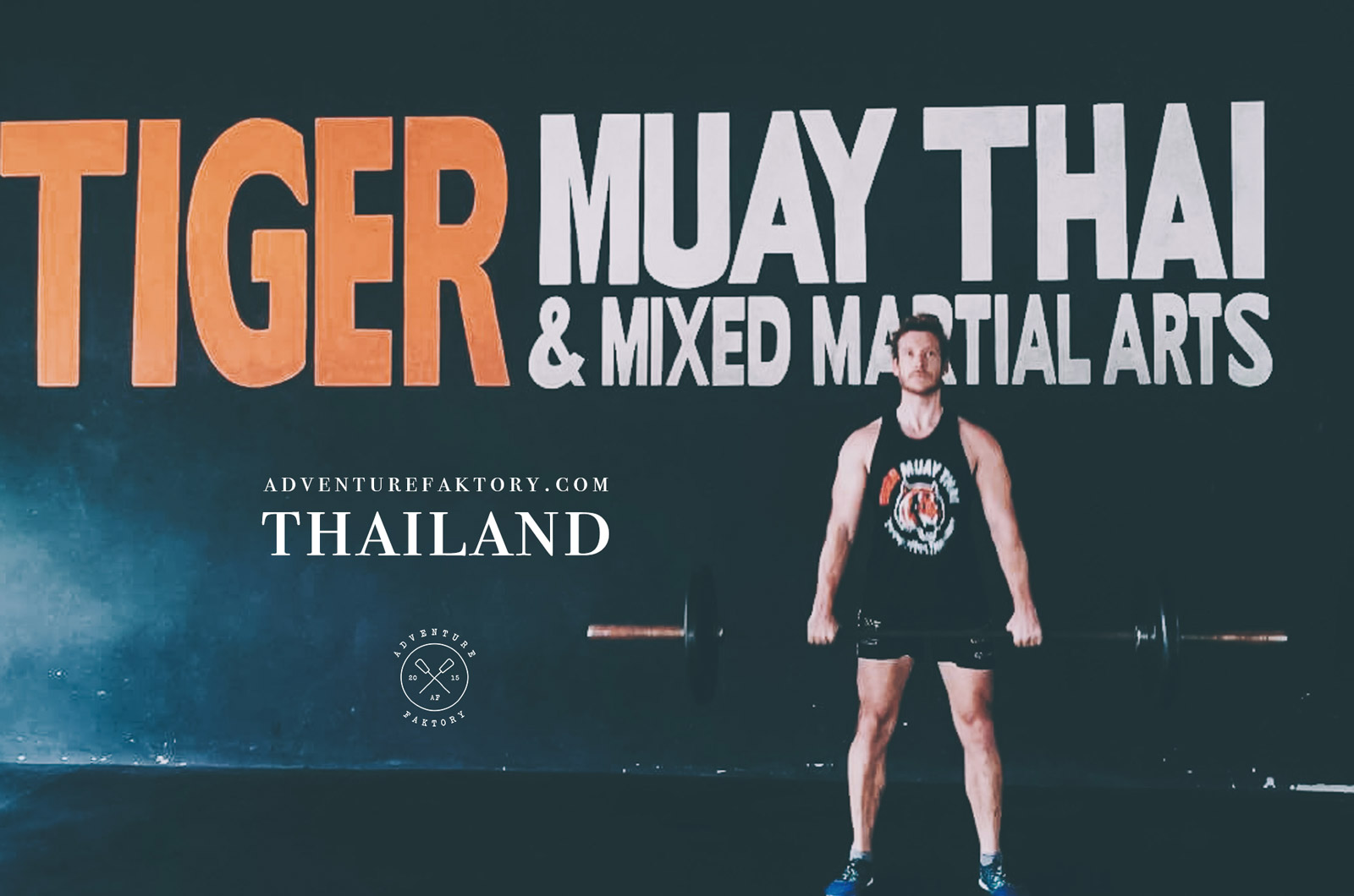 Check Out The Best Gyms In PHUKET, TIGER MUAY THAI