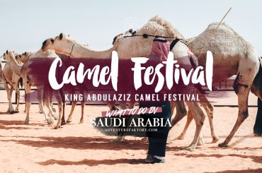 Saudi Arabia Camel Festival