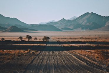 Driving Namibia, Zambia, Botswana