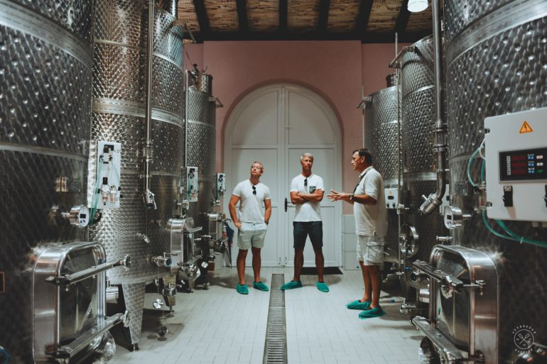 Wine tour in Montenegro at the Radevic Estate Wines | AdventureFaktory ...